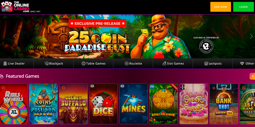 The Online Casino
